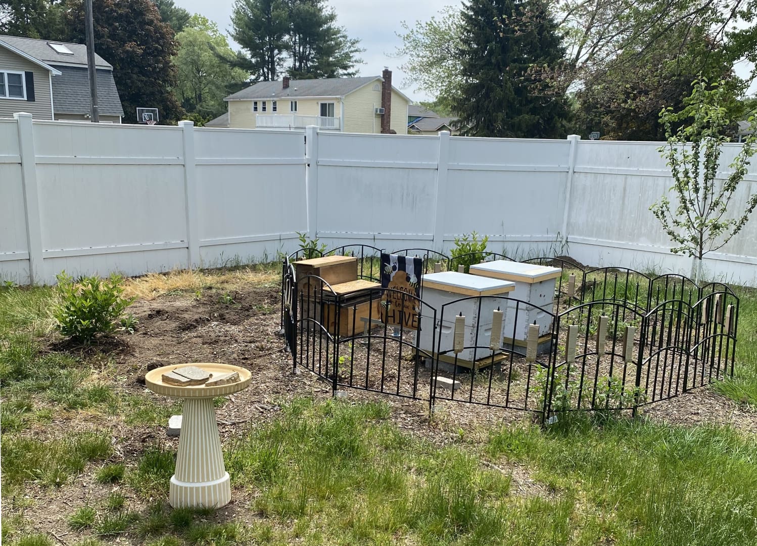 A fenced in area with two bees and a bird bath.